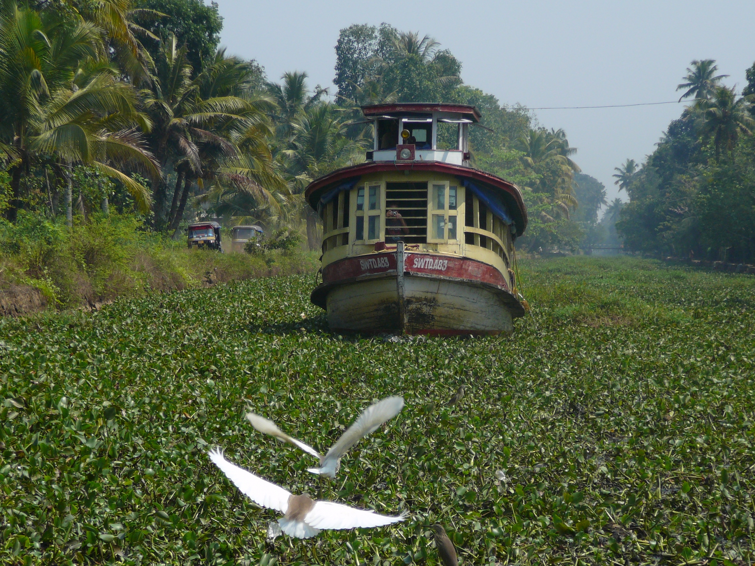 HAFEN FORUM  Indien - Maritime Bilderreise